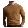 Crew-neck wool sweater POLO RALPH LAUREN UOMO MAN