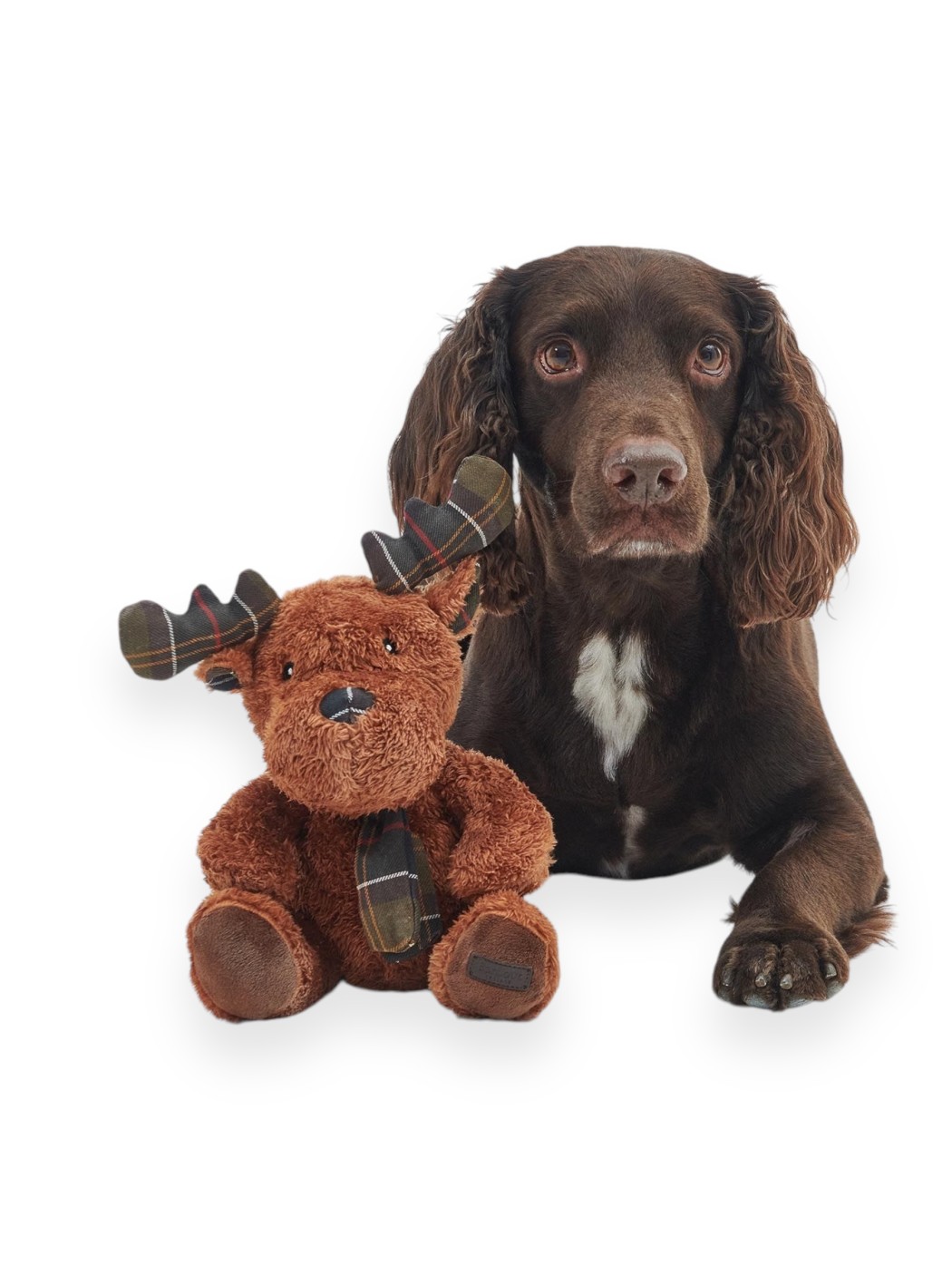 REINDEER DOG TOY BARBOUR...