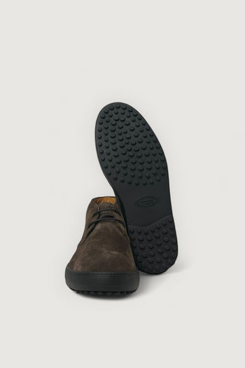 Polacco nuovo winter - 3