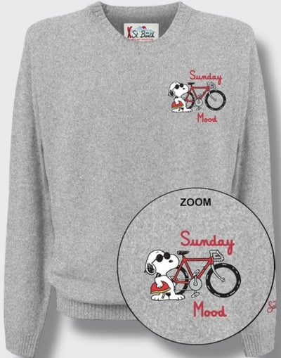 Heron light embry snoopy bike mini