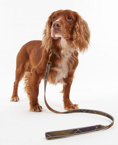 Reflective tartan dog lead