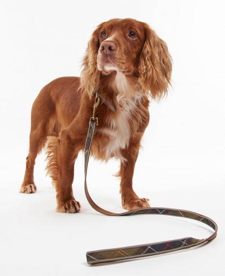 Reflective tartan dog lead