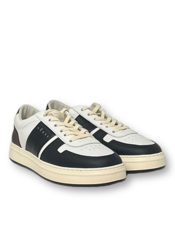 H668 allacciato fascia logo - 4